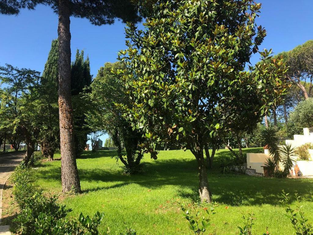 Appartement Residenza Verdemare